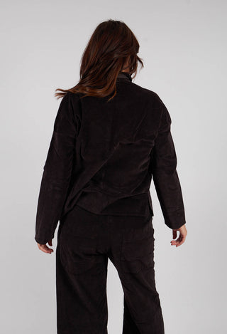 Short Collar Shirt V in Chocolate