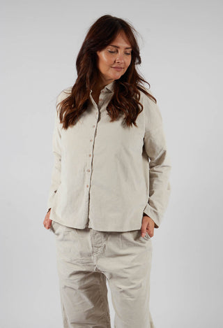 Short Collar Shirt V in Oatmeal