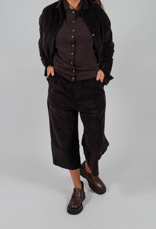 W&S Trousers V in Chocolate
