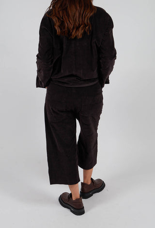 W&S Trousers V in Chocolate