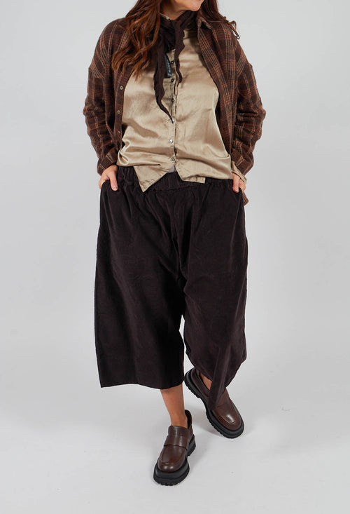 Velvet Wide Trousers in Chocolate