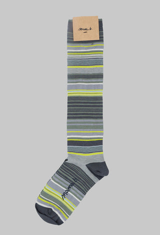 Alto P Stripe Socks in Linfa