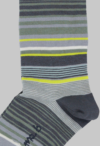 Alto P Stripe Socks in Linfa