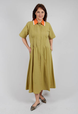 Atlas Cotton Dress in Wasabi