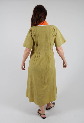 Atlas Cotton Dress in Wasabi