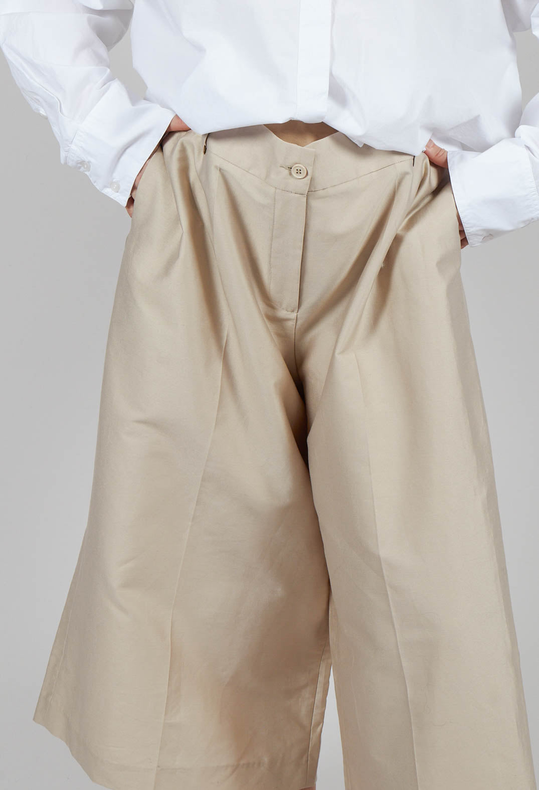 Cropped Wide Leg Trousers in Champagne