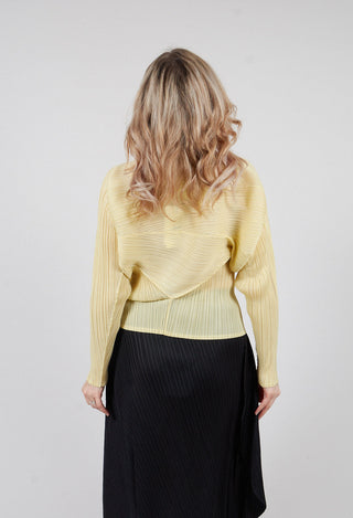 Batwing Top in Lime Cream