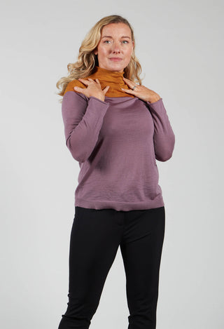 Sheer Wool Turtle Neck Knitwear in Amethyst