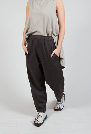 Cervo D Trousers In Caffe