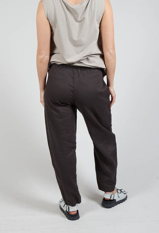 Cervo D Trousers In Caffe