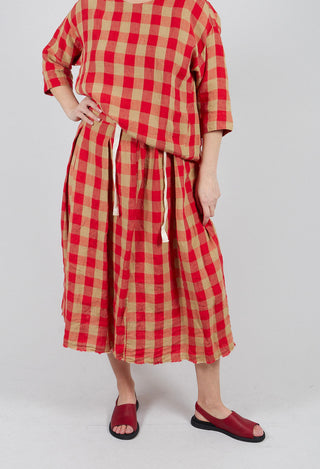 Check Skirt in Var1