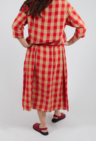 Check Skirt in Var1