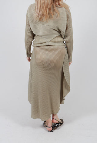 Circle Skirt in Salvia