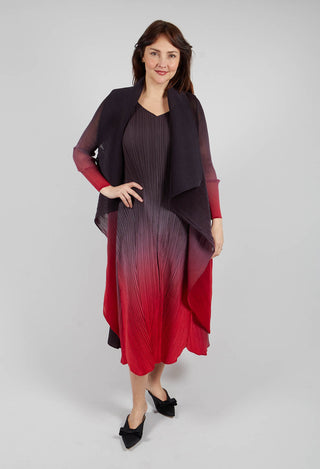 Collare Coat in Cherry Ombre