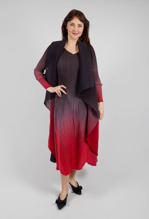 Collare Coat in Cherry Ombre