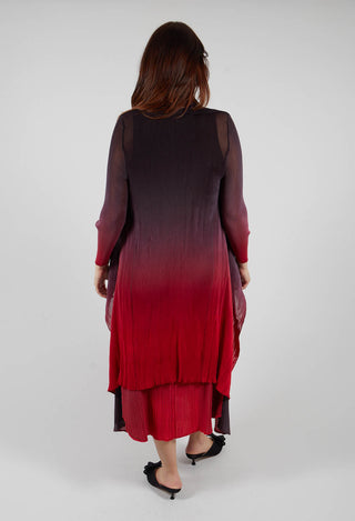 Collare Coat in Cherry Ombre