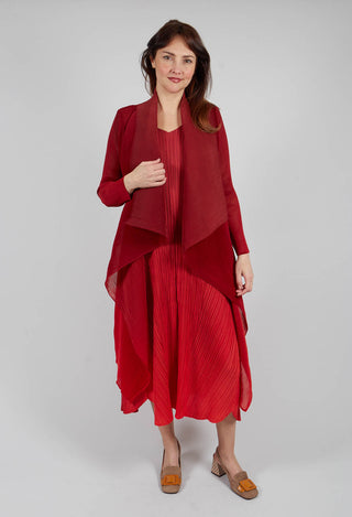 Collare Coat in Desert Ombre