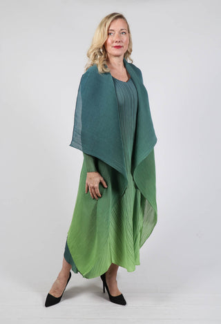 Collare Coat in Forest Ombre
