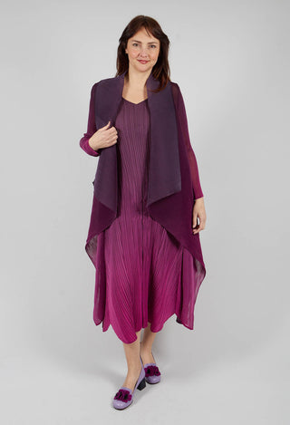 Collare Coat in Mulberry Ombre