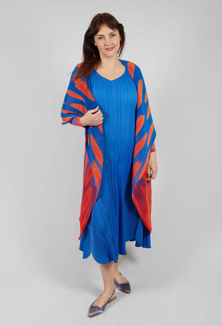 Collare Coat in Royal Elliptical