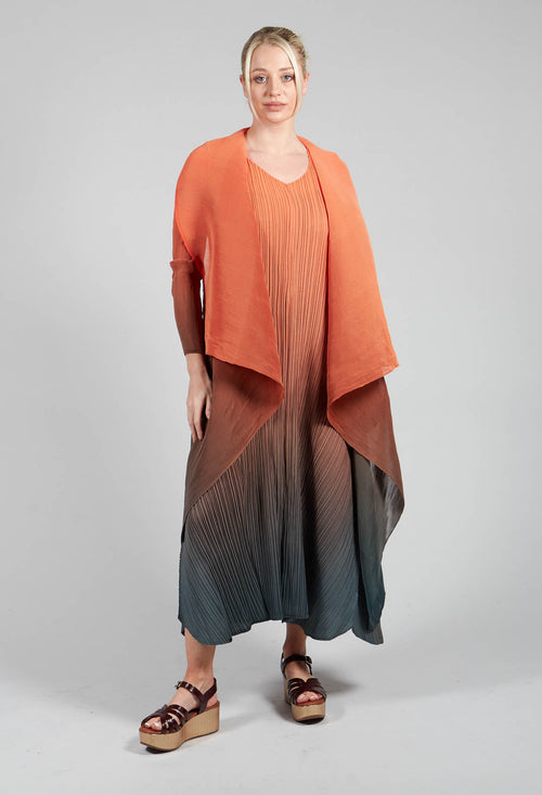 Collare Coat in Tangerine and Shadow