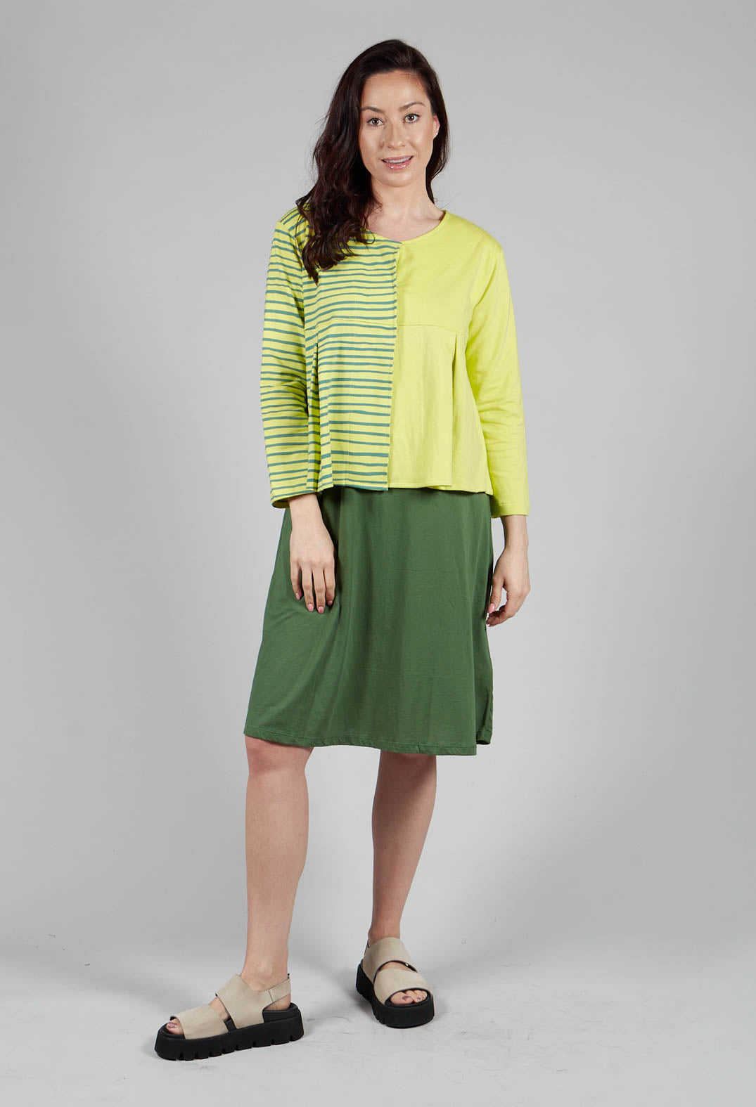 Contrast Sleeve Top in Lime with Green Lines