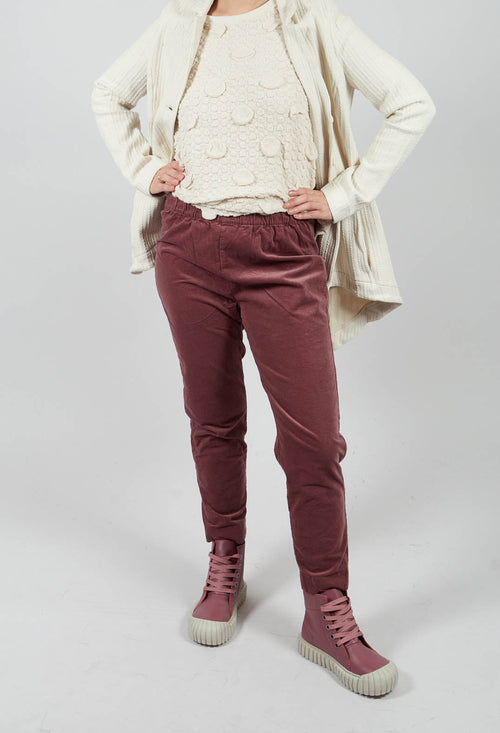Cook V Trousers in Cipolla