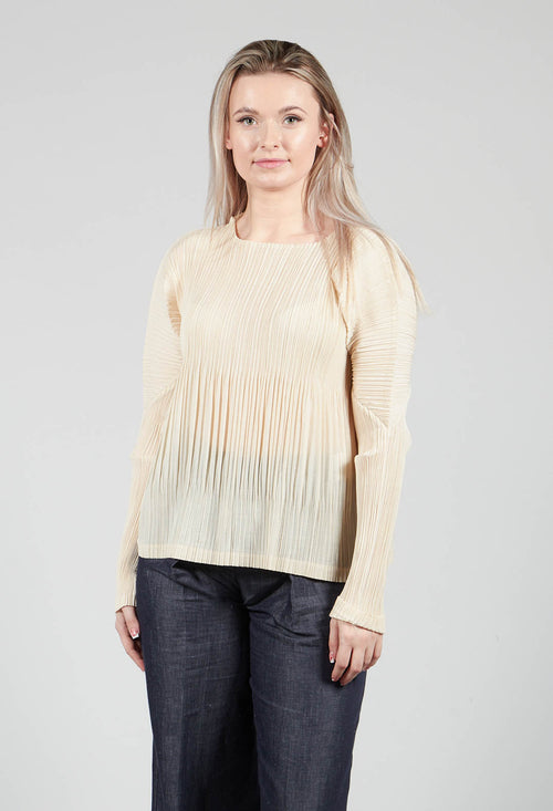 Crinkle Fabric Blouse in Beige