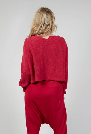 Cropped Jumper with Raw Edges in Chili