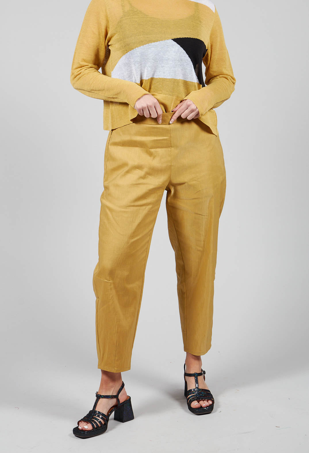 Cropped Slim Leg Pants in Mustard