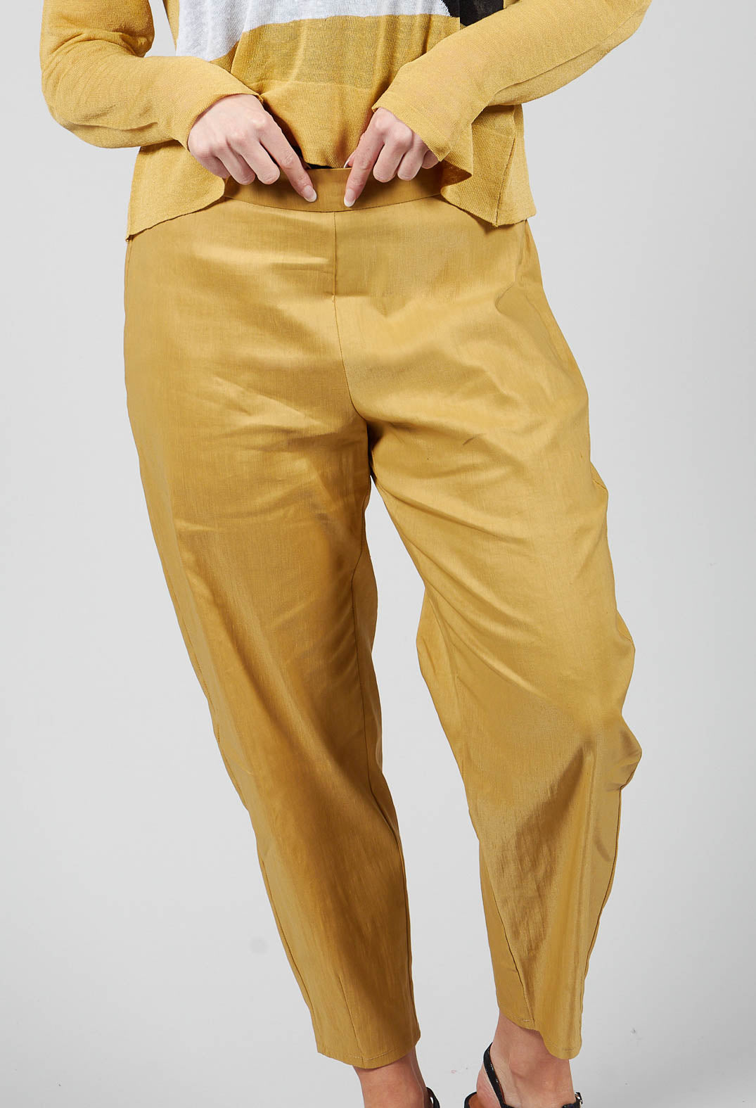 Cropped Slim Leg Pants in Mustard