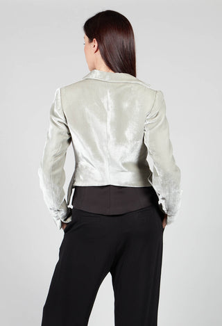 Cropped Velvet Jacket in Pearl Grey