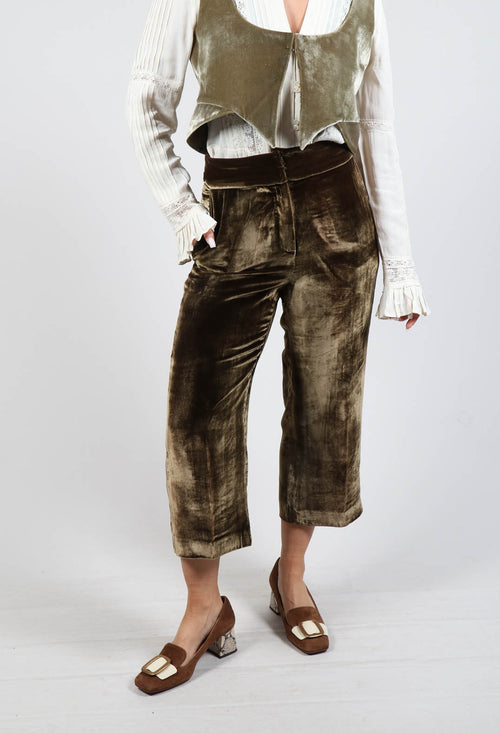 Cropped Velvet Trousers in Gold Khaki