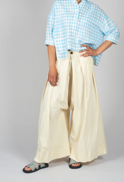 Pleat Front Trousers in Cream
