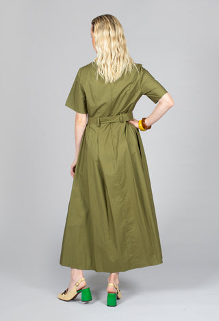 Long Belted Dress in Cactus