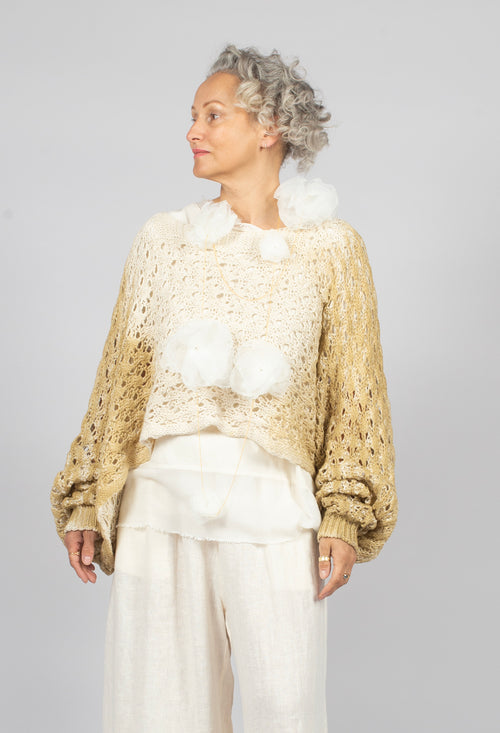 Cropped Jumper in Sand Shell Spray Gold