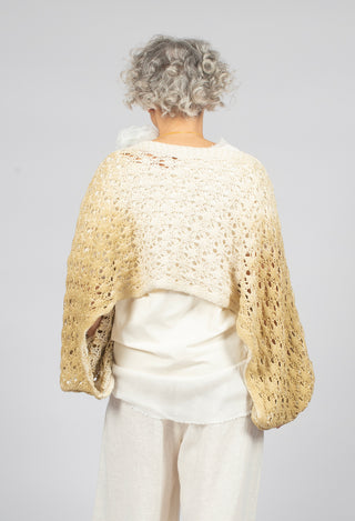 Cropped Jumper in Sand Shell Spray Gold
