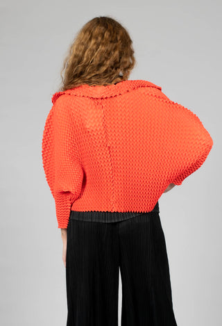 Nightstar Bolero in Coral