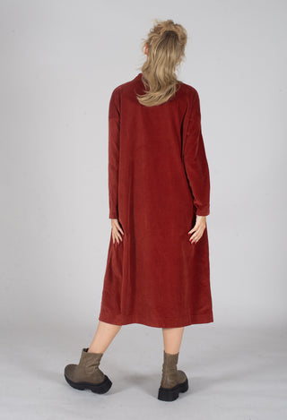 Velvet Collar Dress in Red