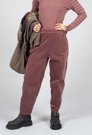 Alicia L Trousers in Cipolla