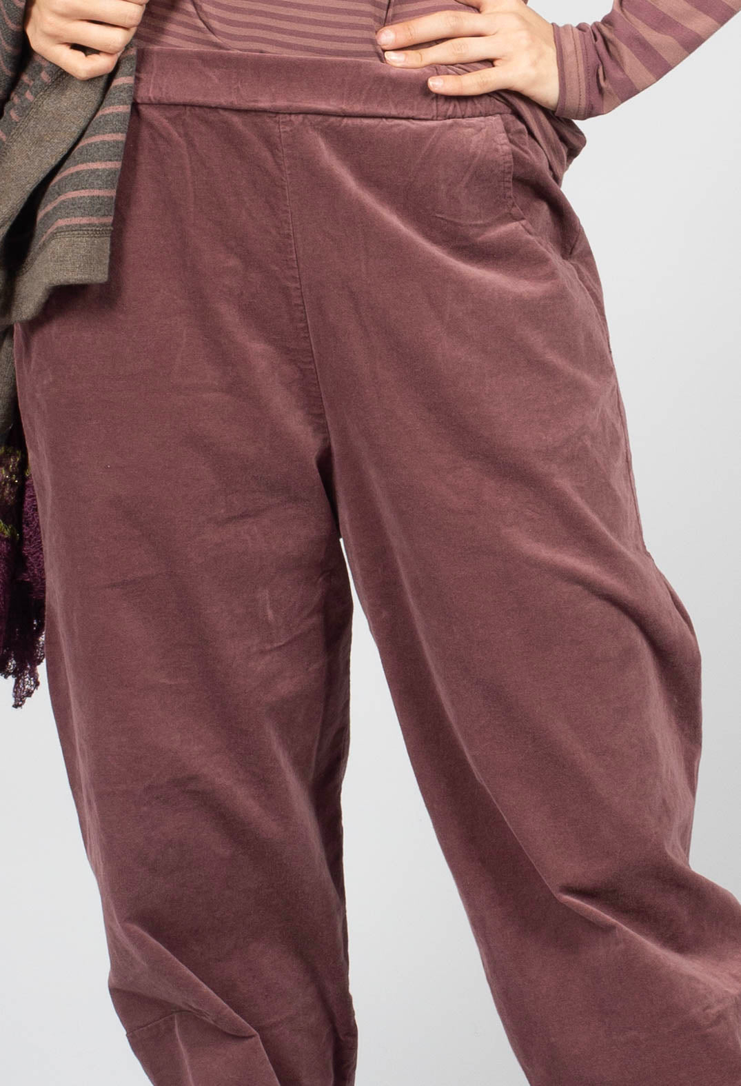 Alicia L Trousers in Cipolla