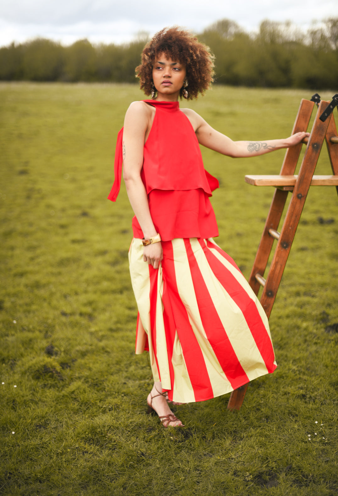 Striped Skirt in Line Print