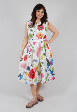 Darnette Printed Dress in Flowers
