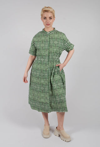 Deborah Printed Dress in Green Check