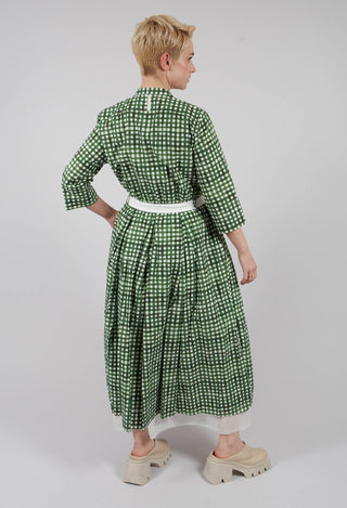Delmira Printed Dress in Green Check