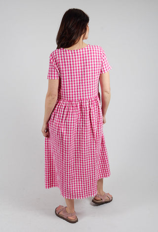 Demi Dress in Azalea Check
