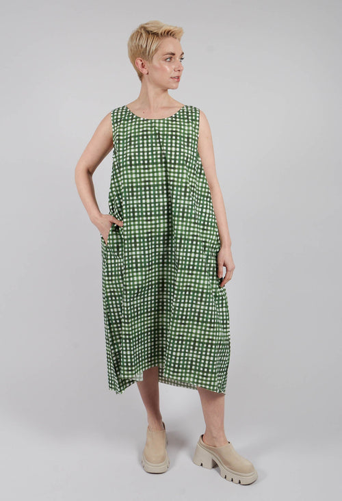Doris Printed Dress in Green Check