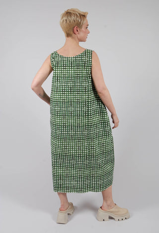 Doris Printed Dress in Green Check