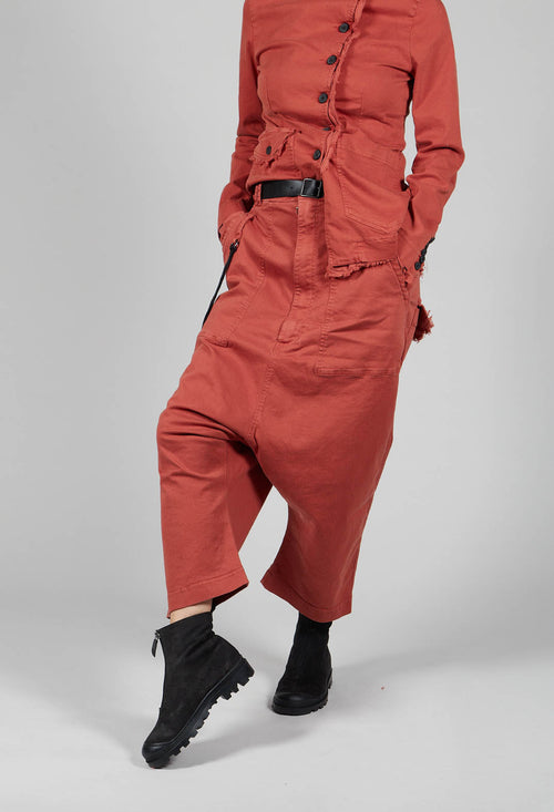 Double Belted Trousers in Picante
