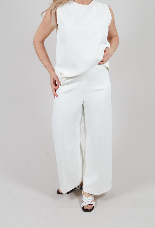 Dress Trouser in Latte